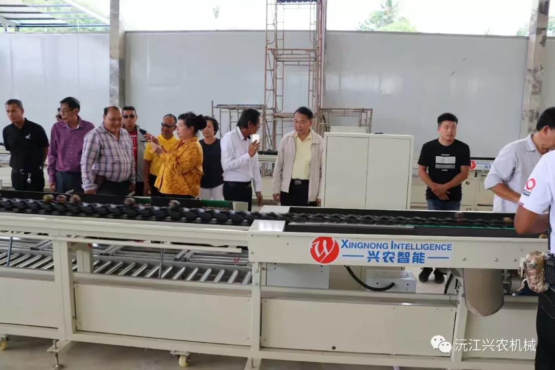 沅江興農機械制造有限公司,沅江水果分選機,沅江水果清洗機,沅江水果打蠟機哪里好,沅江興農機 沅江興農機械制造有限公司,沅江水果分選機,沅江水果清洗機,沅江水果打蠟機哪里好,沅江興農機